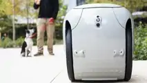Piaggio Gita