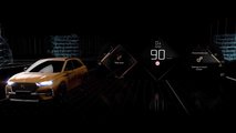 DS Driver Attention Warning System