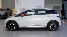BYD Dolphin 2021