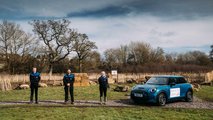 MINI, la Tiny Forest di Swindon