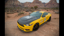 Ford Mustang Shelby Terlingua