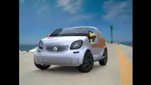 smart forsea