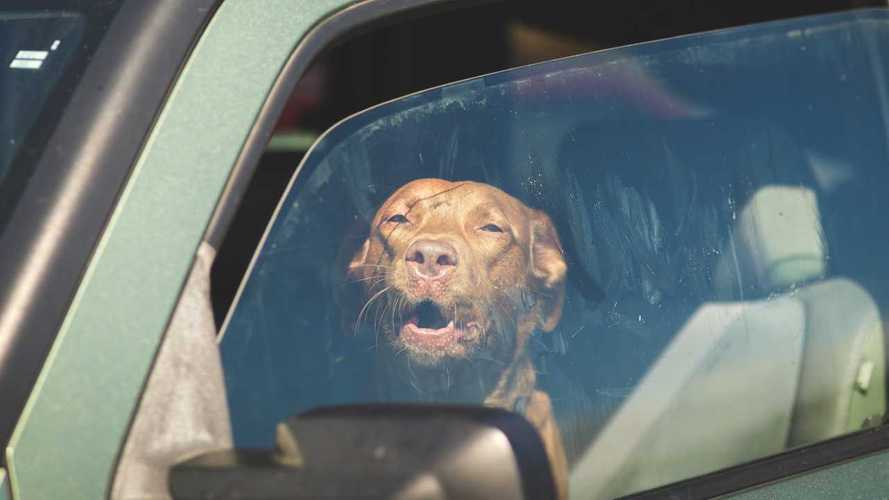 Thermal video showing how hot black cars get will surprise you
