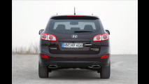 Überraschungs-SUV