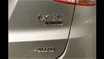 Hyundai ix35: Korea-Kraxler