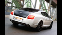 Stark: Edo Speed GT