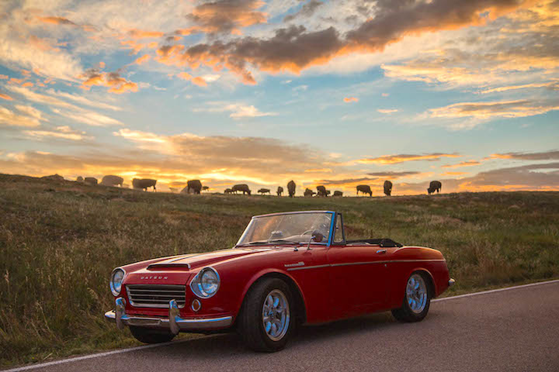 How to Take a 48 State Road Trip in Less than 6 Days
