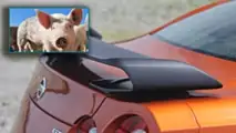 Porker