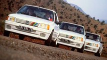 Peugeot 205 Rallye