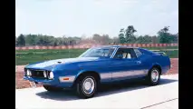 Super-Mustang zum Geburtstag