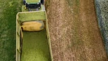 Come programmare raccolta e trincee per l’insilato di triticale