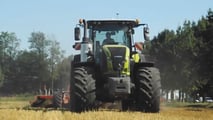 Perché puntare sul grano tenero in minima lavorazione nel 2026?