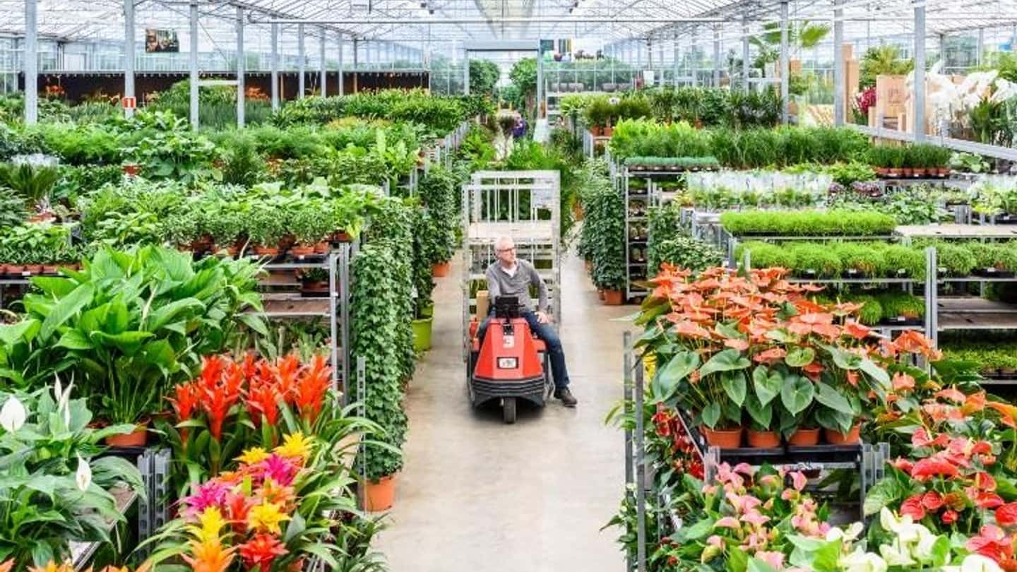 Florovivaismo: 10,5 mln e la nuova legge — cosa cambia per trattori e macchine