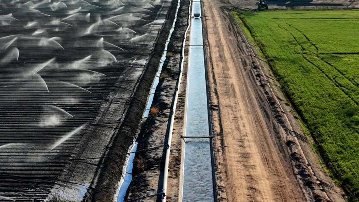 Irrigare nel 2026: scegliere tra mais e prati con poca acqua