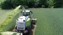 Prova varietale Seminard: dalla semina di novembre alla trinciatura, il confronto in campo tra frumento e triticale foraggeri.