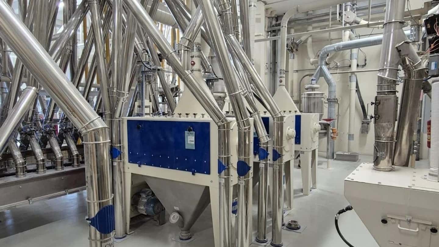 Frumento tenero 2026 in Italia: produzione e impieghi