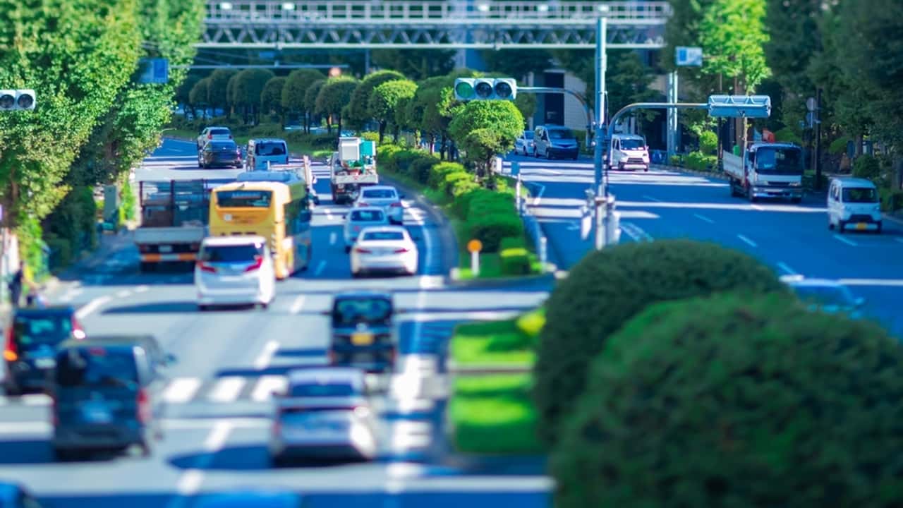 Parque automovilístico