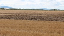 Terreni agricoli che diventano edificabili: cosa succede all’IMU?