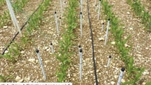 rrigazione digitale: risparmia 20% gasolio e acqua in campo