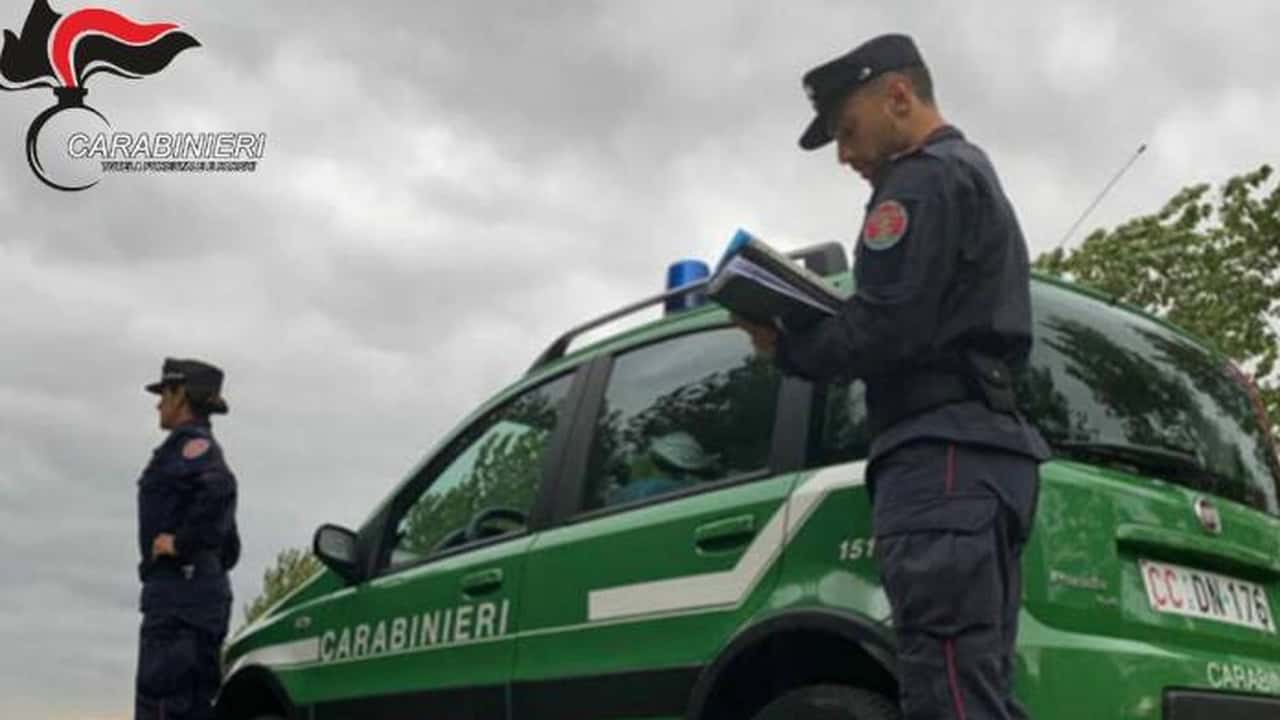 Fitofarmaci, acqua e rifiuti: i controlli dei Carabinieri Forestali