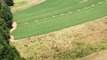 Pacchetto Omnibus e biocontrollo: cosa cambia davvero in campo?