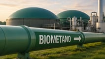 La legge 4/2026 ridisegna le aree idonee per le rinnovabili: per l'agrivoltaico continuità colturale obbligatoria e limite tra 0,8% e 3% della SAU regionale