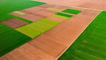 In caso di comproprietà di terreni agricoli, l'esenzione IMU spetta solo al comproprietario coltivatore diretto. Gli altri devono pagare l'imposta