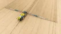 Ramularia orzo 2026