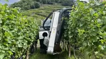 Enovitis Extrême 2025: innovazione eroica tra i vigneti terrazzati del Trentino