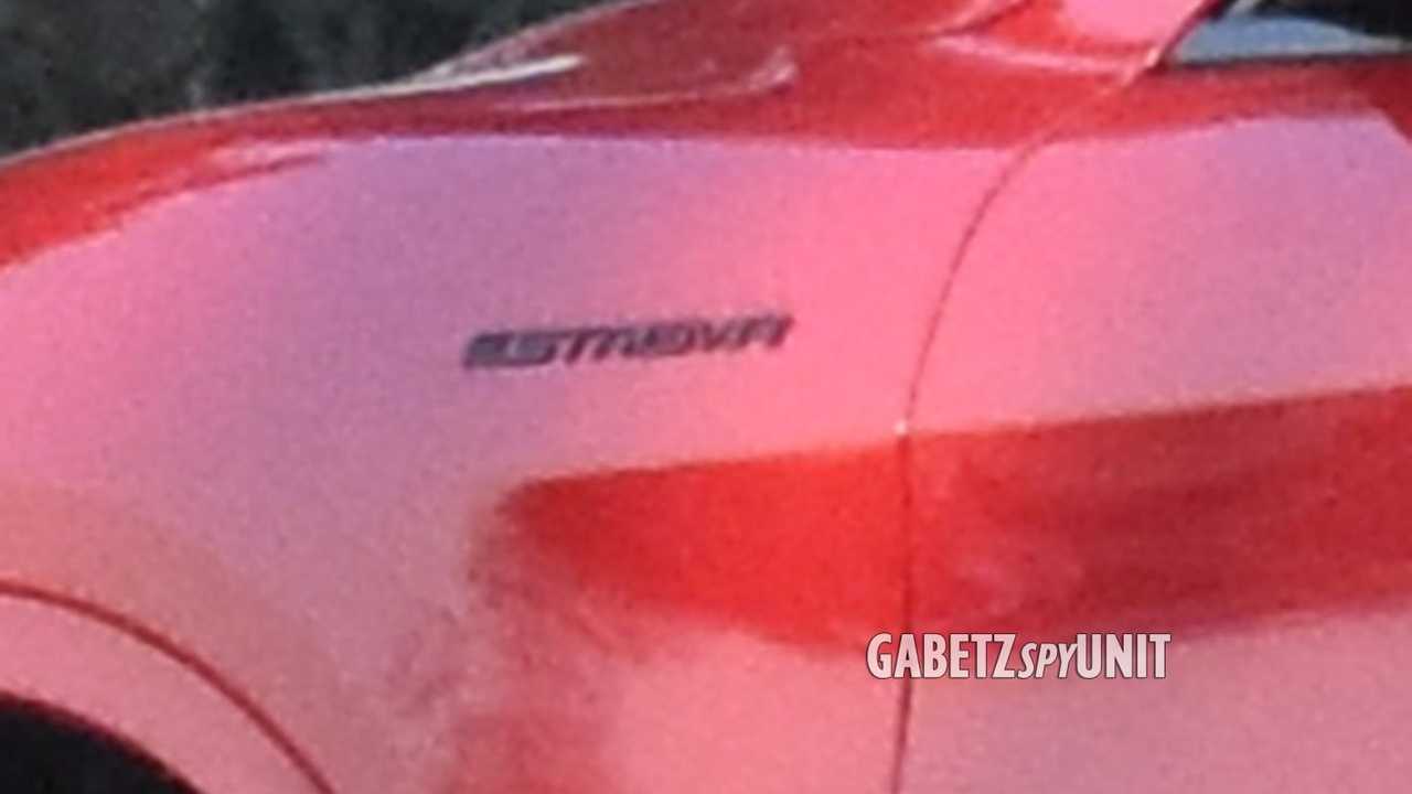 Alfa Romeo Stelvio Estrema 2023 fotos espía