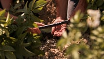 Irritec: irrigazione smart a EIMA International 2024