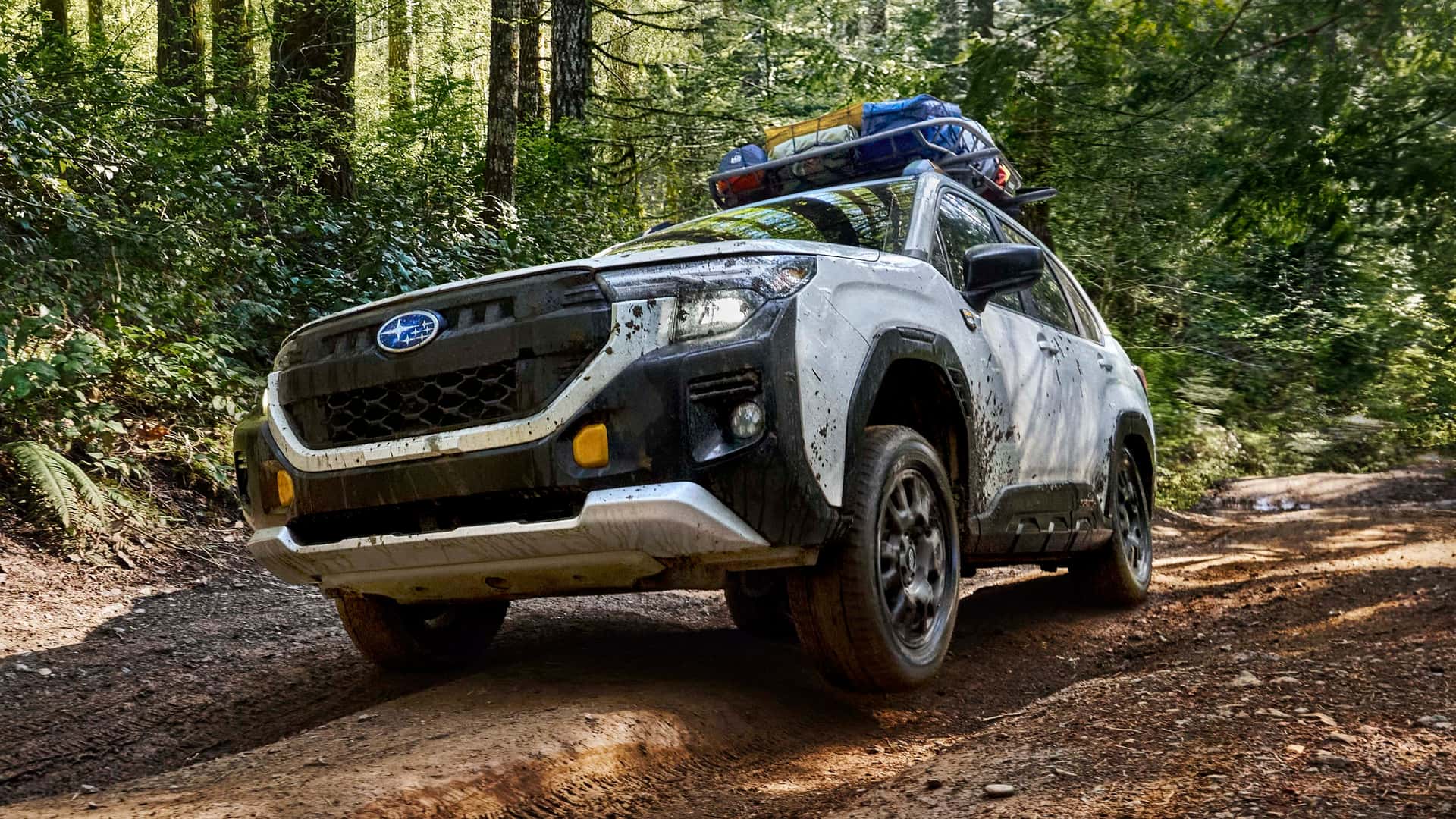 https://cdn.motor1.com/images/mgl/AkN64P/s1/2025-subaru-forester-wilderness.jpg