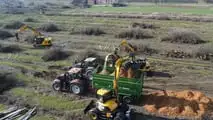 Escavatori JCB: abbattono un frutteto