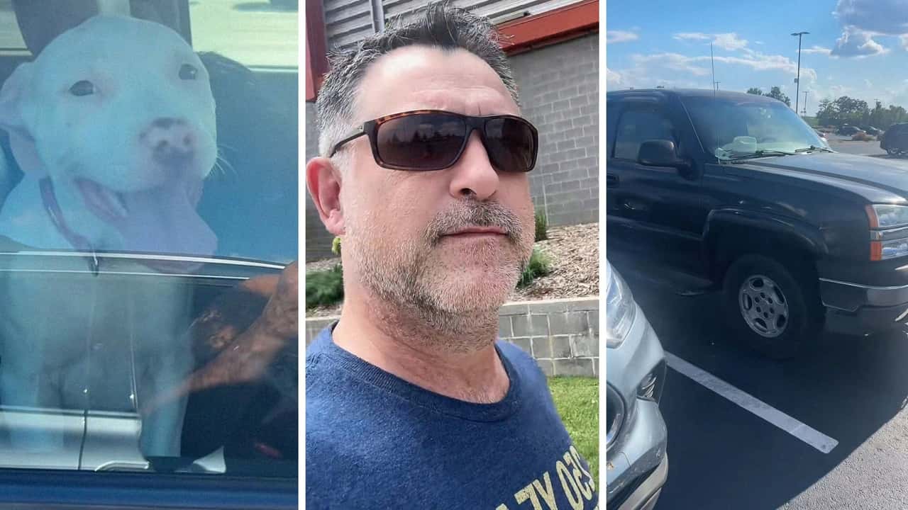 Man spots 2 dogs in a parked Chevrolet Silverado. Then he takes action