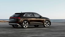 Audi Q8 TFSI e quattro 2024