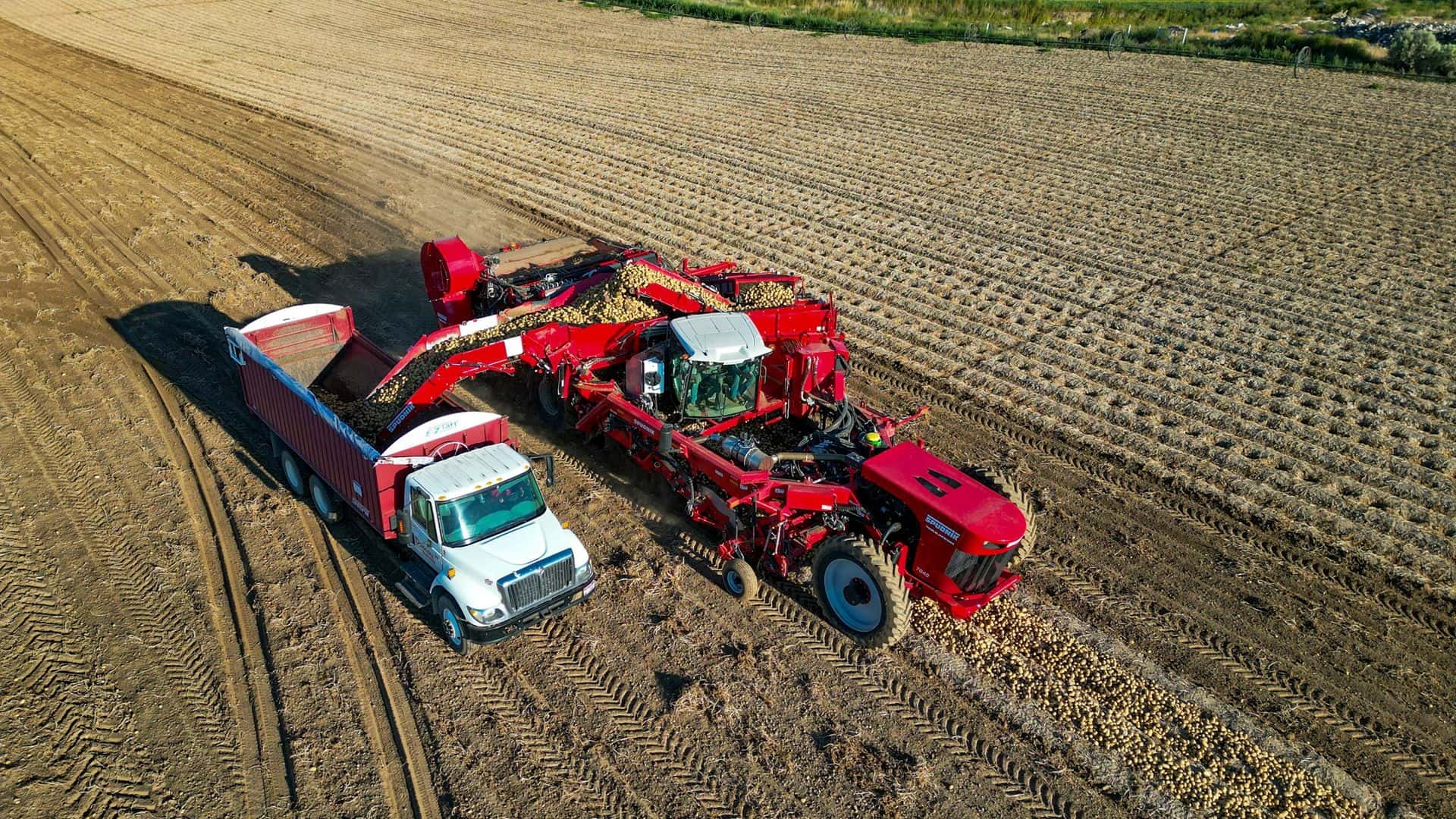 AND1 Men's 11" Pick Color Graffiti Active Performance Gym Mesh - Foto 12