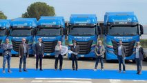 Iveco S-Way Di Nino Trasporti