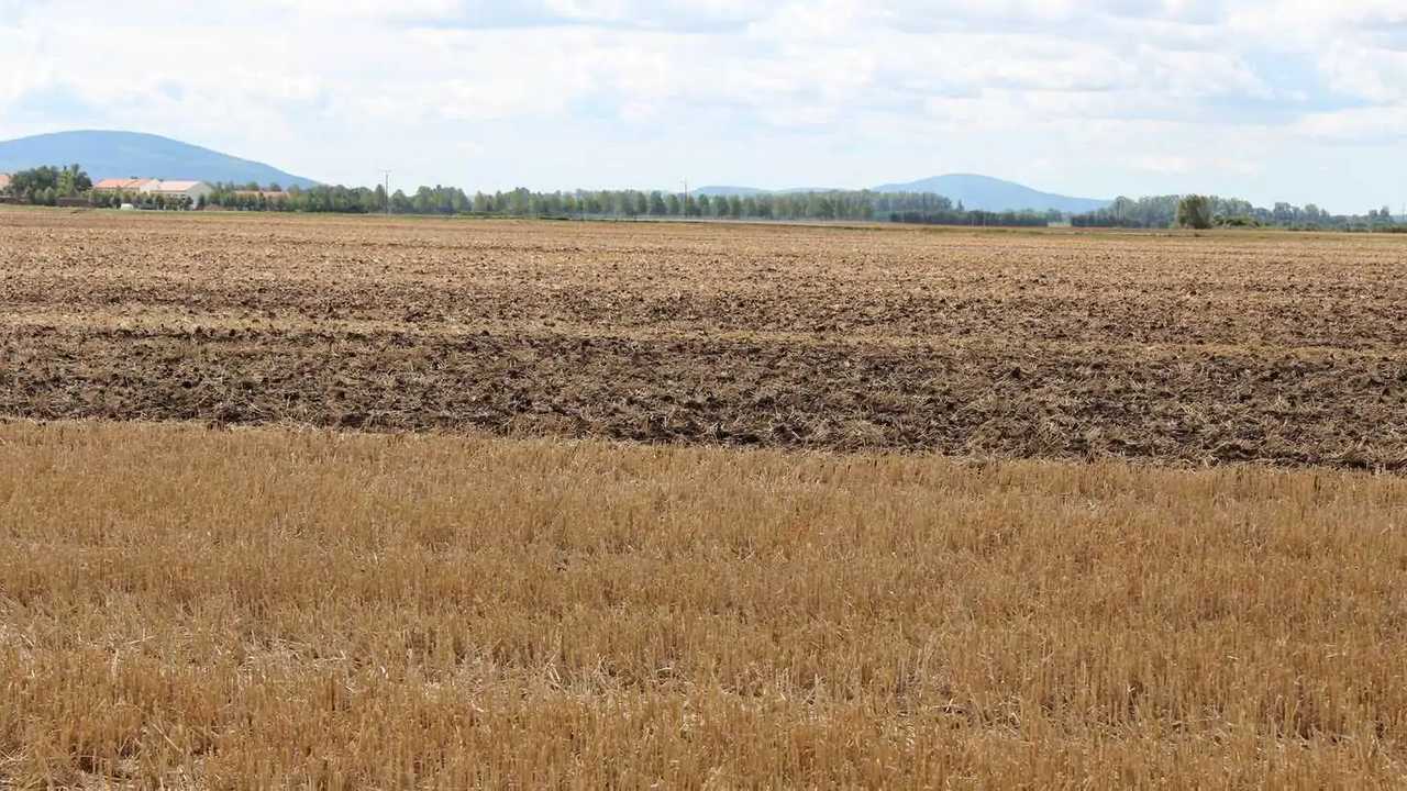 Terreno agricolo in affitto: indennità di miglioramento