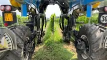 Foto - New Holland Braud 9090 L vendemmiatrice polivalente
