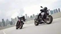 Triumph Trident 800 de 2026