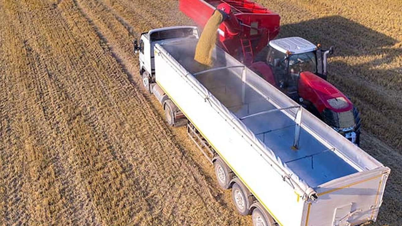 Registro cereali: obbligo telematico entro il 20 ottobre