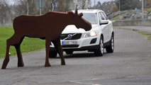 Volvo animal detection system 09.7.2012