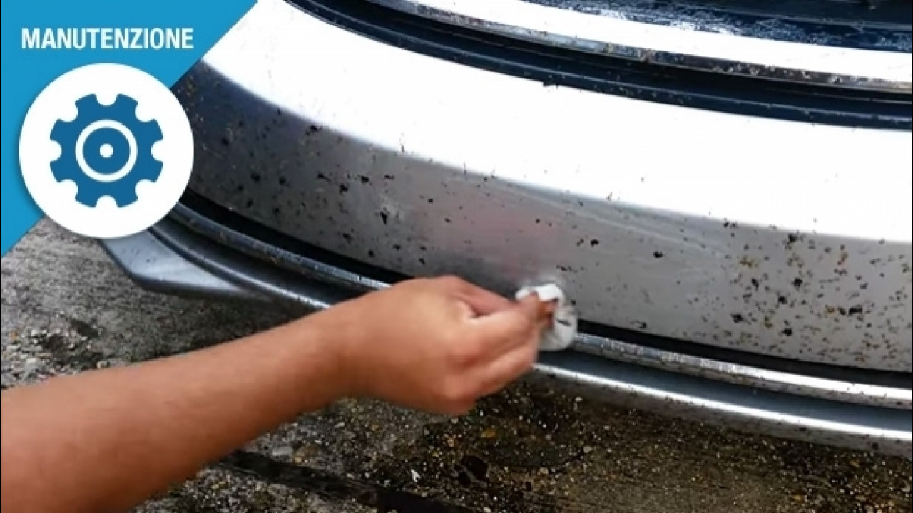 [Copertina] - Insetti sull’auto, come pulire la carrozzeria senza fare danni