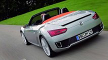 VW BlueSport Concept (2009)