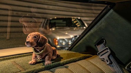 Die Geschichte der Hutablage: Wackeldackel und Klorolle