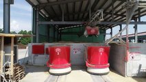 LELY VECTOR