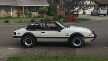 Mustang Baja