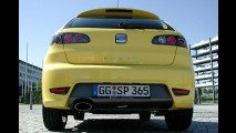 Dieselwahnsinn im Seat Ibiza