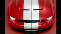 Entfesselter Mustang