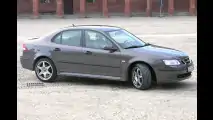 Mit Hirsch zum Renntier